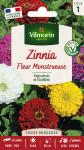 Fleurs - Zinnia à Fleur Monstrueuse  - face recto